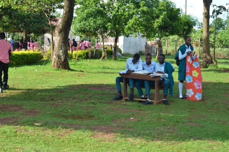School Photo 6