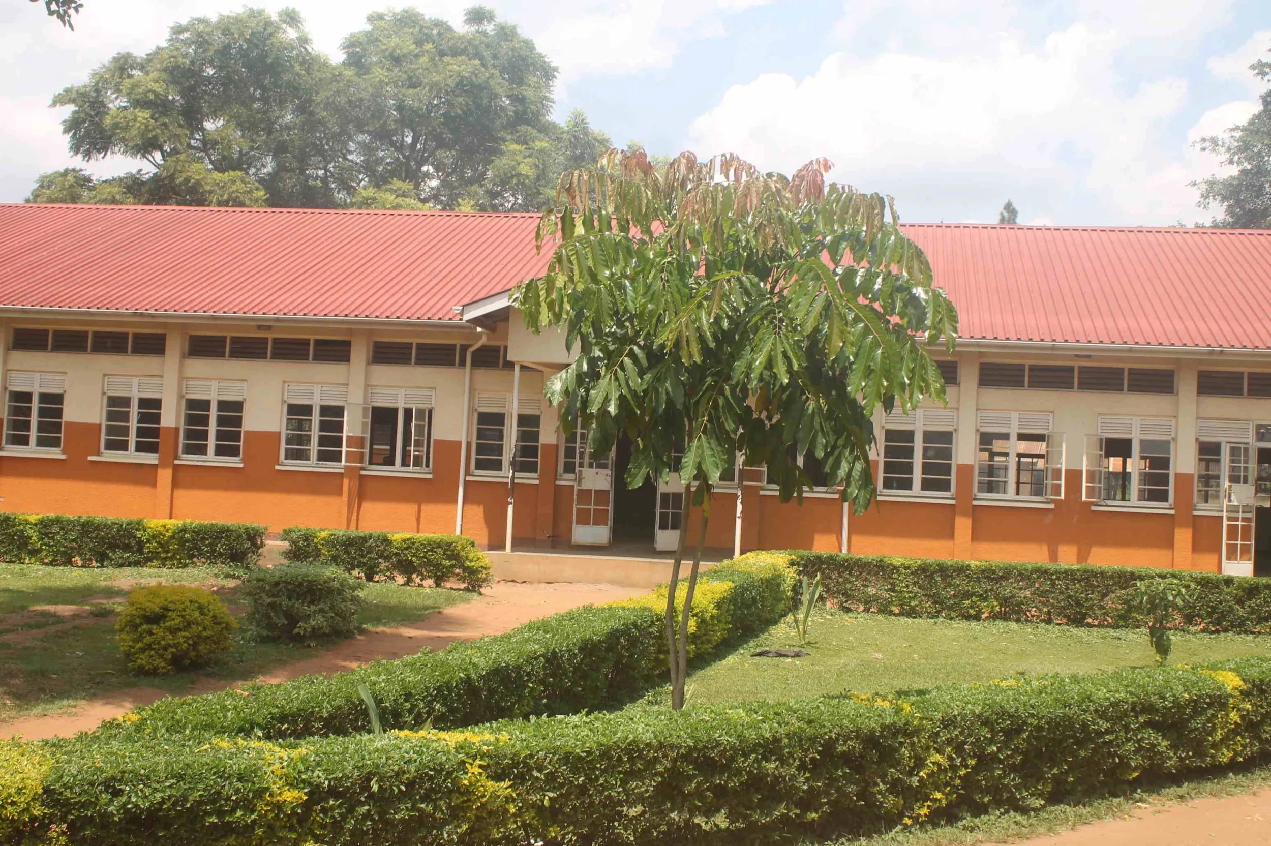 School Photo 10