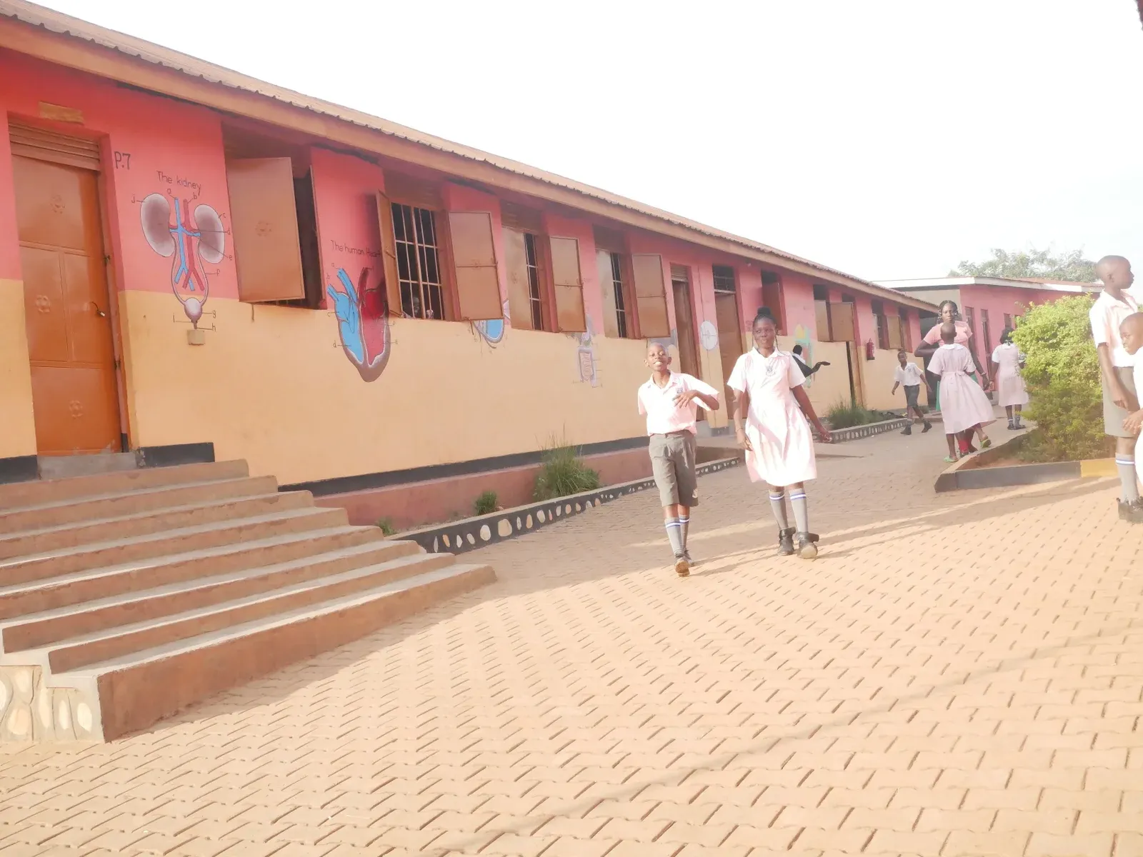 School Photo 7