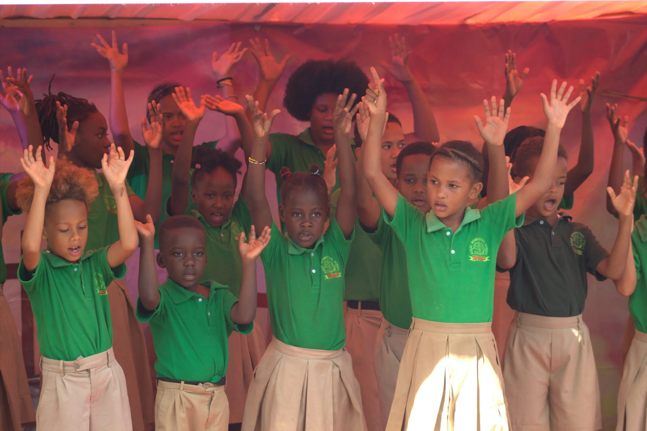 Hanak International School 