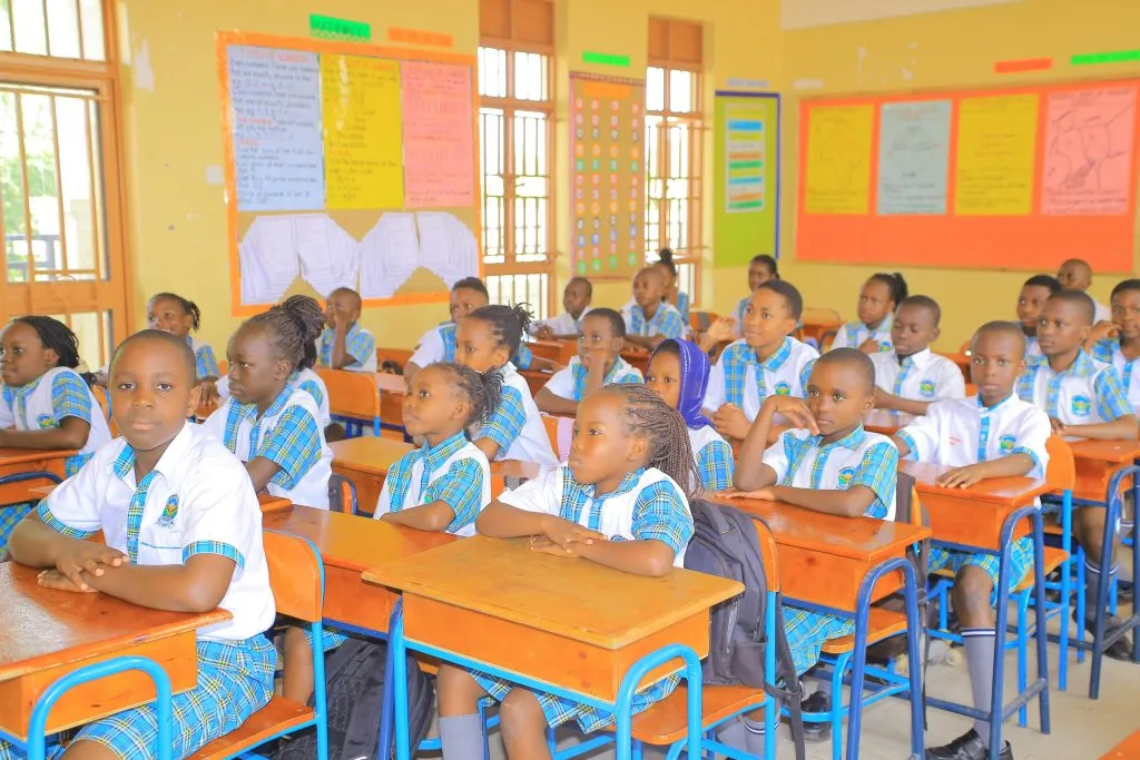 Dimension Stone Junior School 