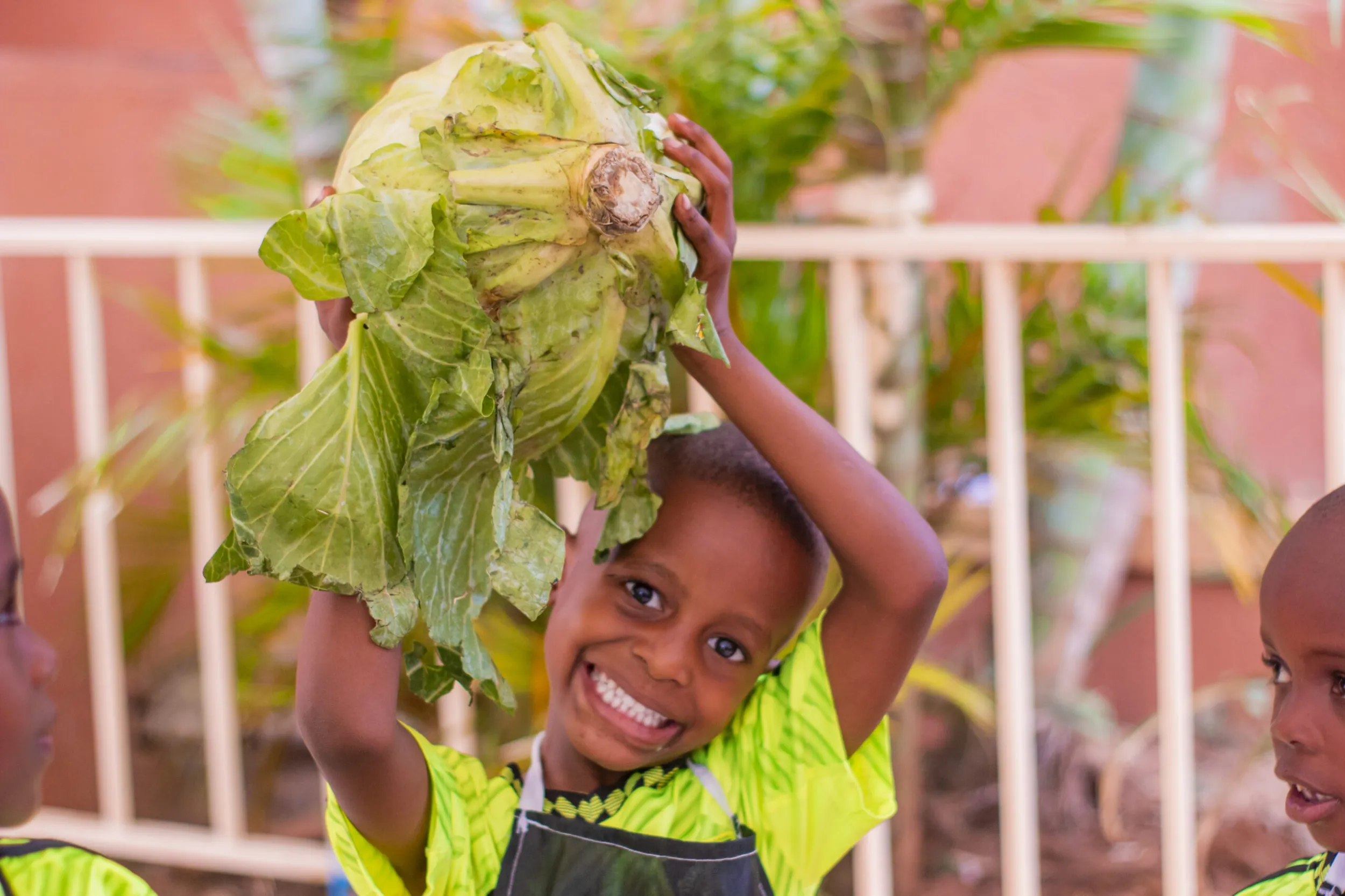 Shiperoy Nursery And Primary School