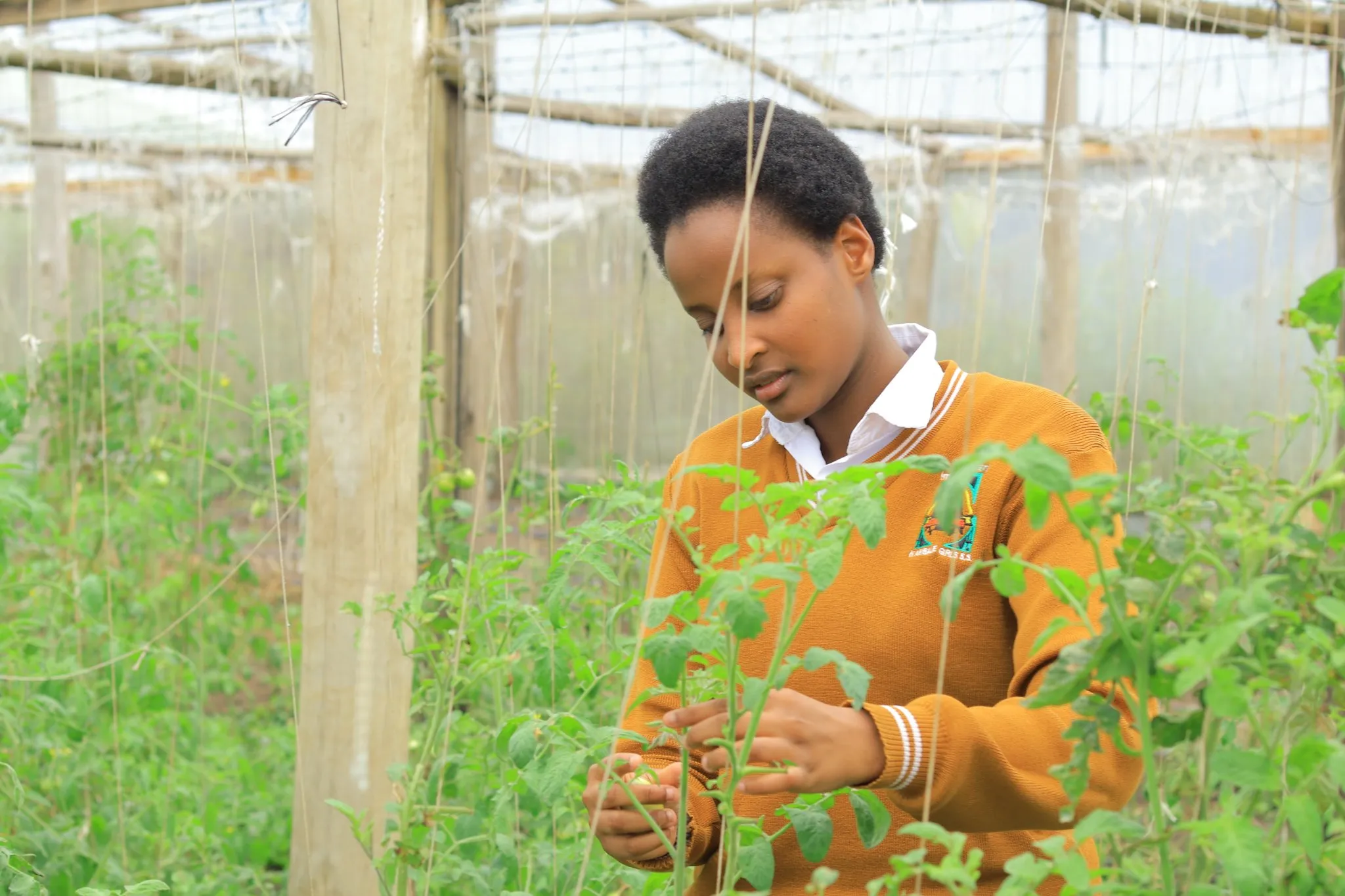 Immaculate Heart Girls' School