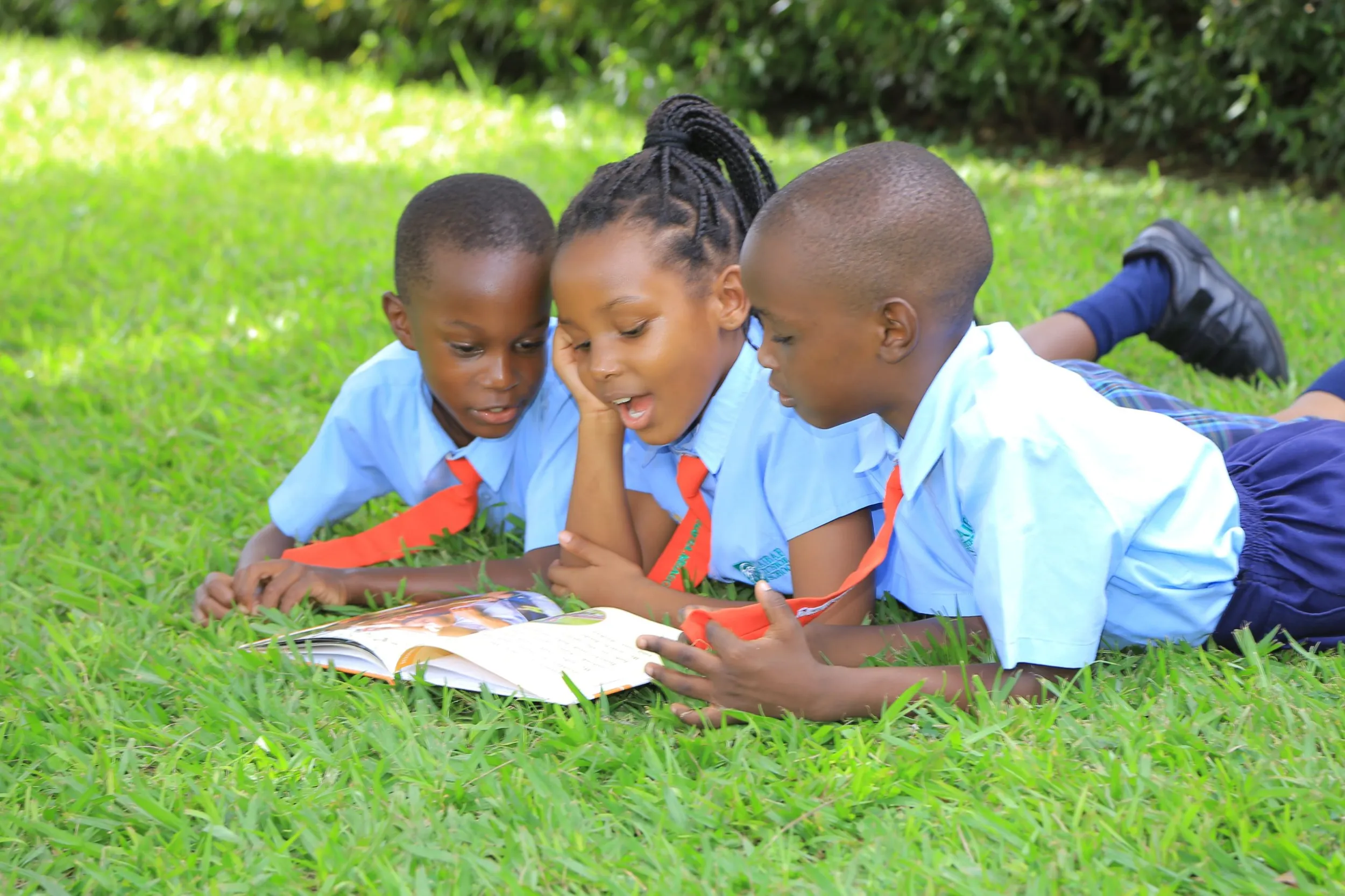 Taibah International School Junior