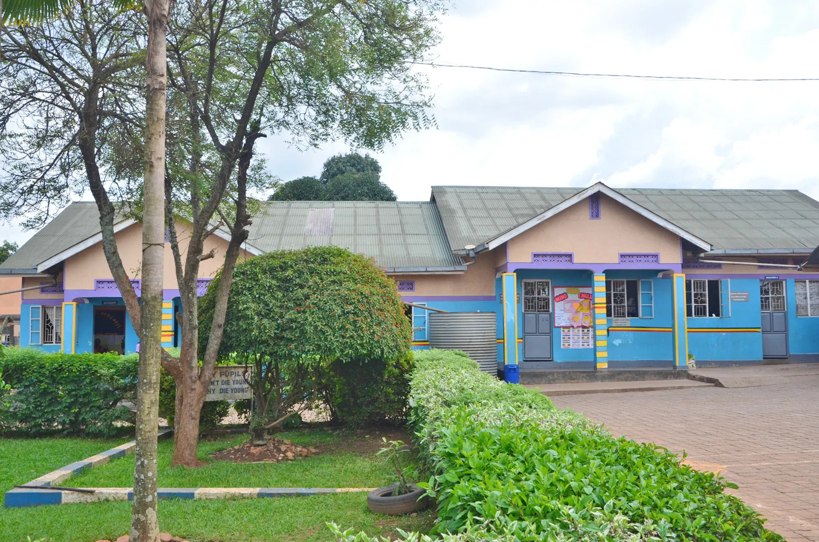 School Photo 6