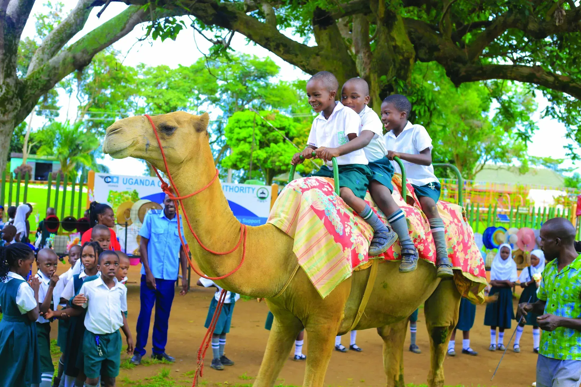 Winston Day And Boarding Primary School Kawempe