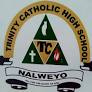 Trinity Catholic High School Logo