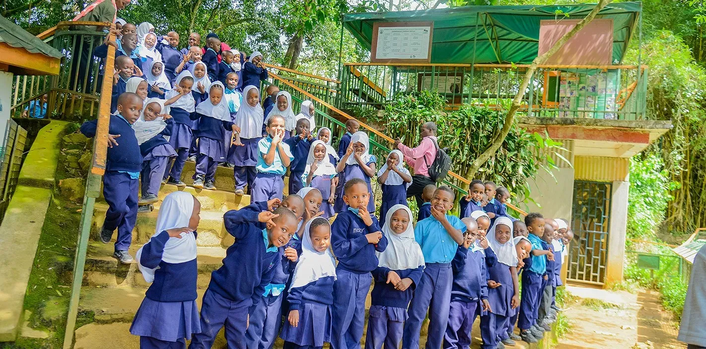 Masha Junior School 