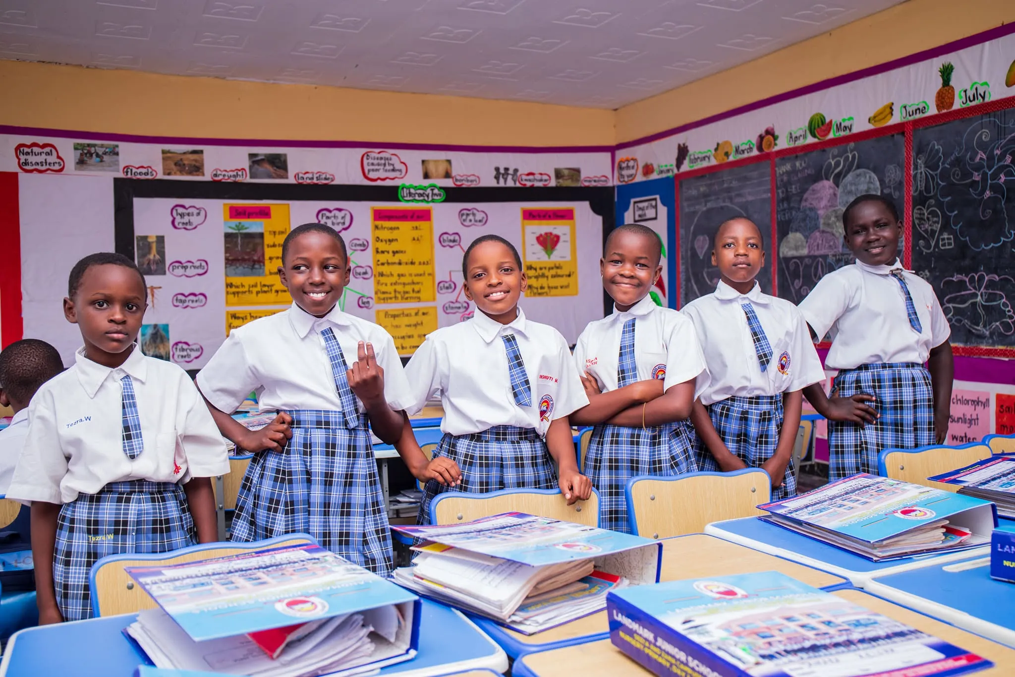 Landmark Junior School-seeta