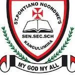 St. Pontiano Ngondwe Secondary School Logo