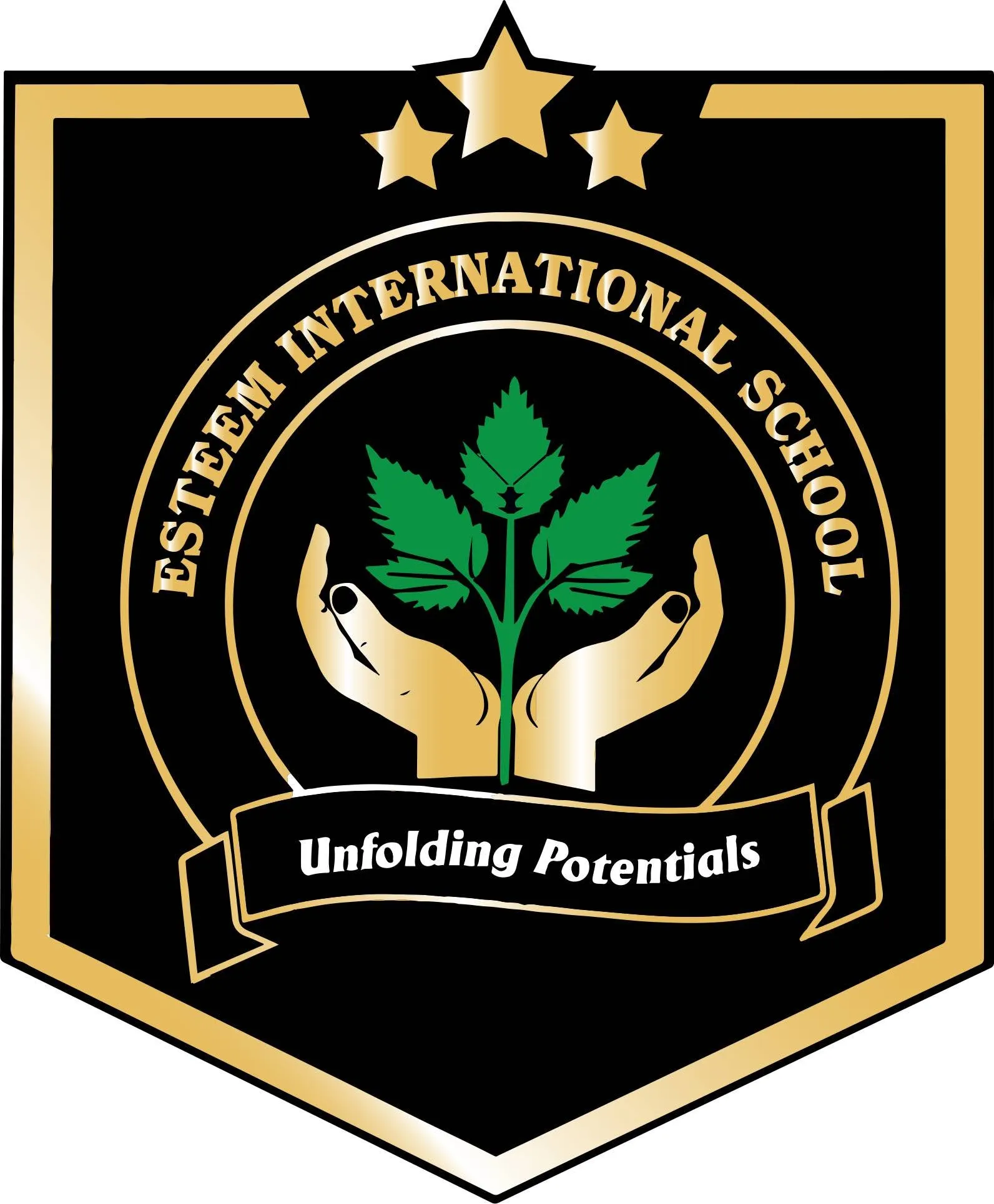 Esteem International School  Logo