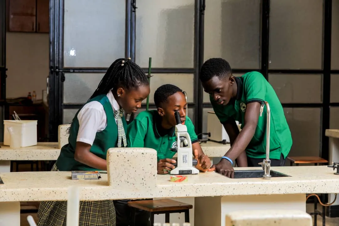 Sozolife International School