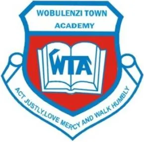 Wobulenzi Town Academy Logo