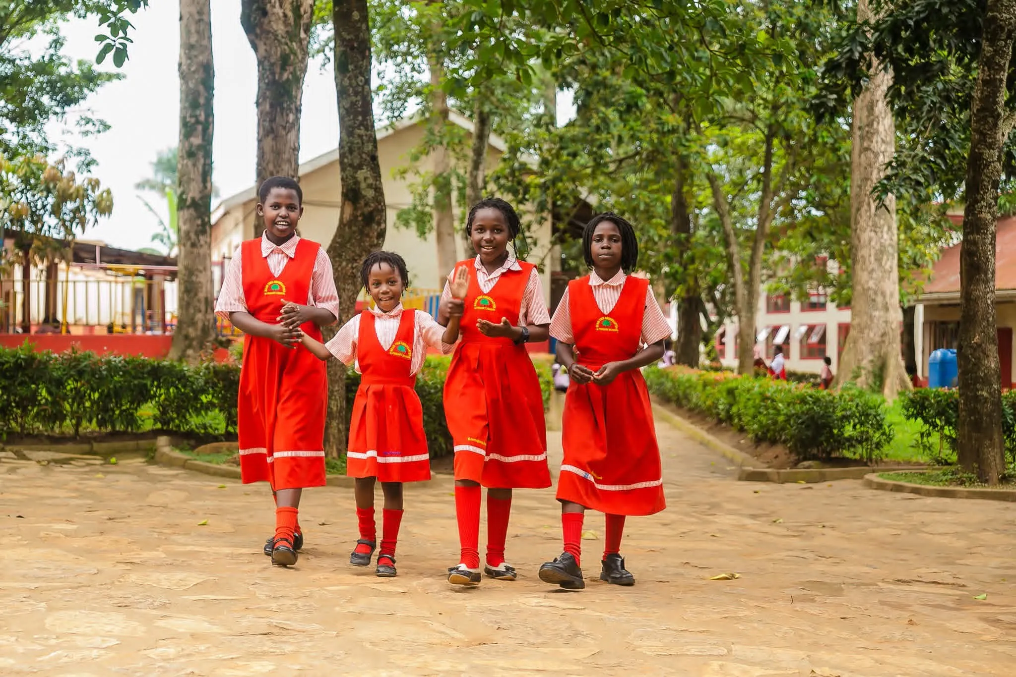 Brain Tree Primary School 