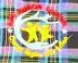  Act Junior School Logo
