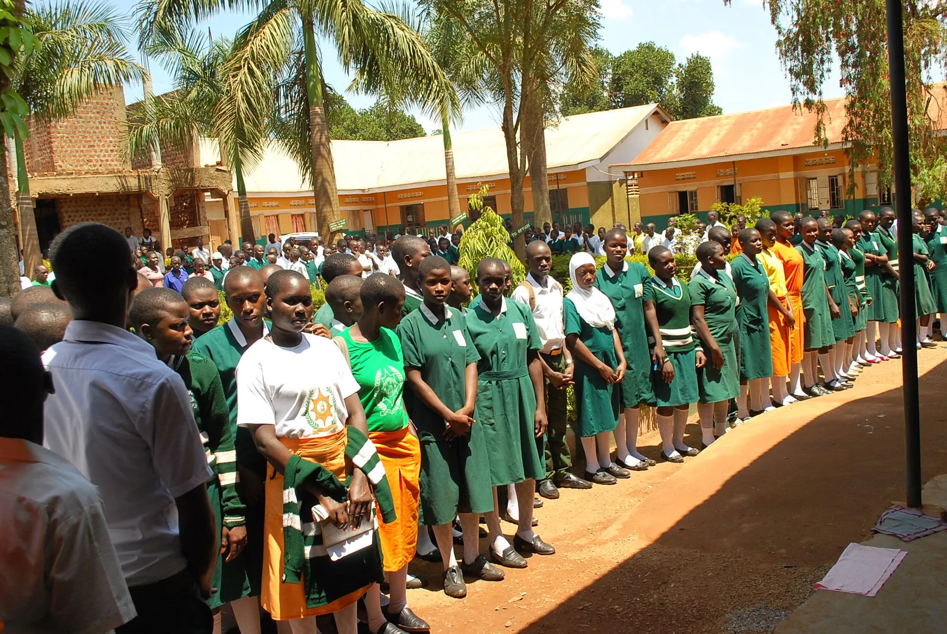 Greenvine Collegekayunga
